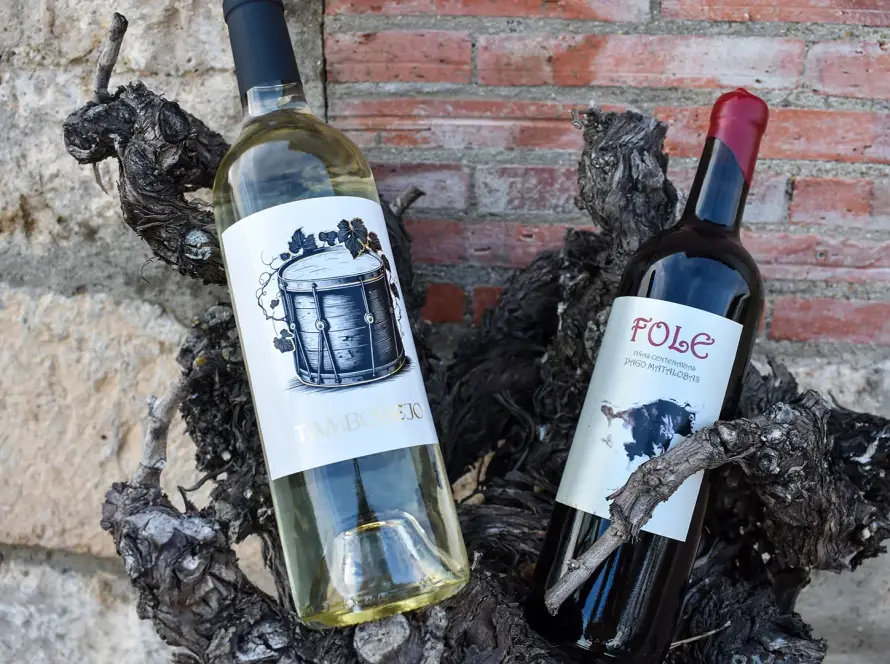 Vinos en cepas