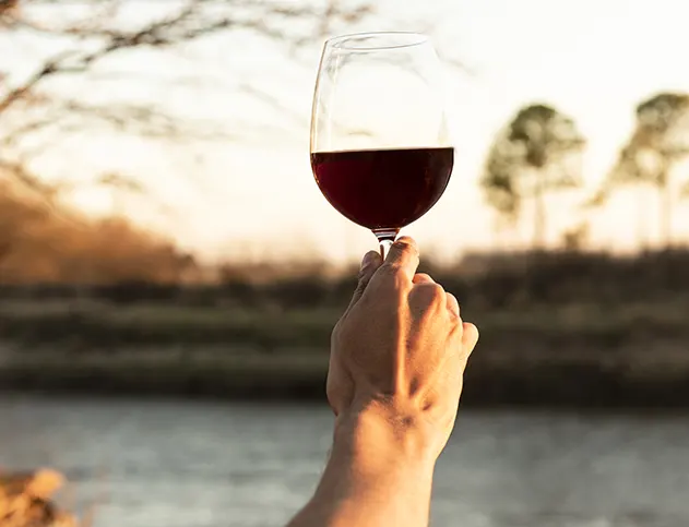 Mano sosteniendo una copa de vino tinto contra un fondo de viñedos verdes bajo la luz del sol.